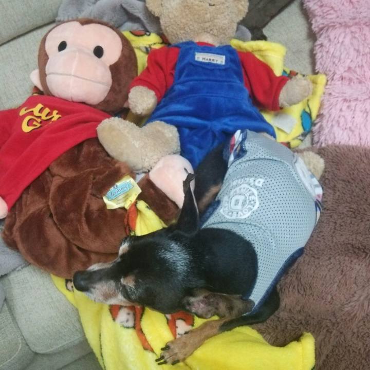 D9b7d759 2838 478e 9c27 1360e833a6d4