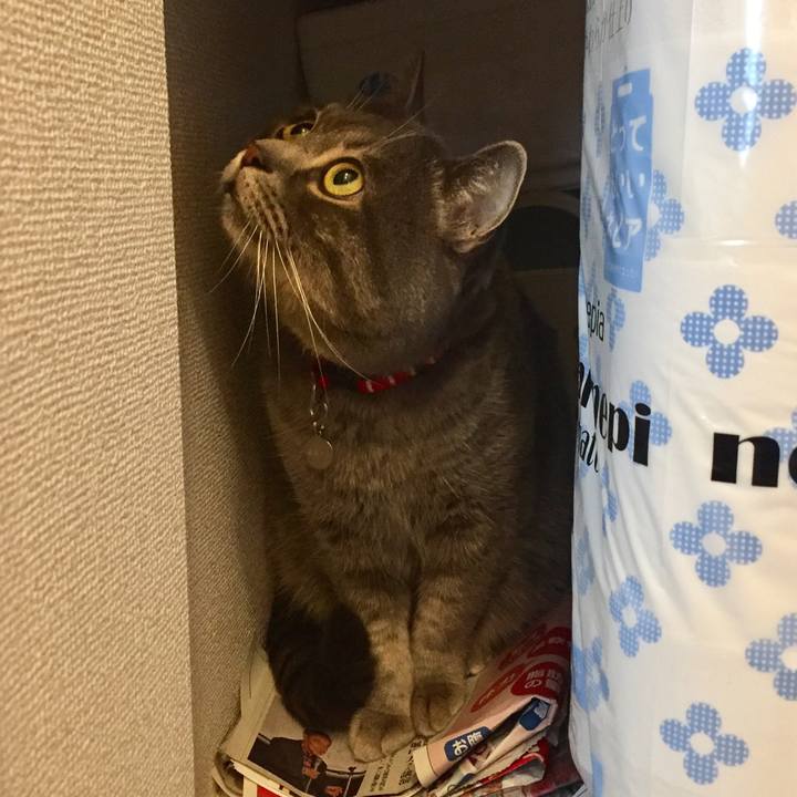 D9b7e866 8591 4f9d 985b 4604cacedf3e