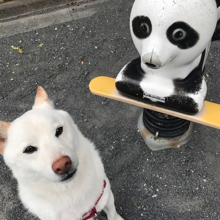 D9b8bc05 5ea6 4137 b778 94e0a317e3c8