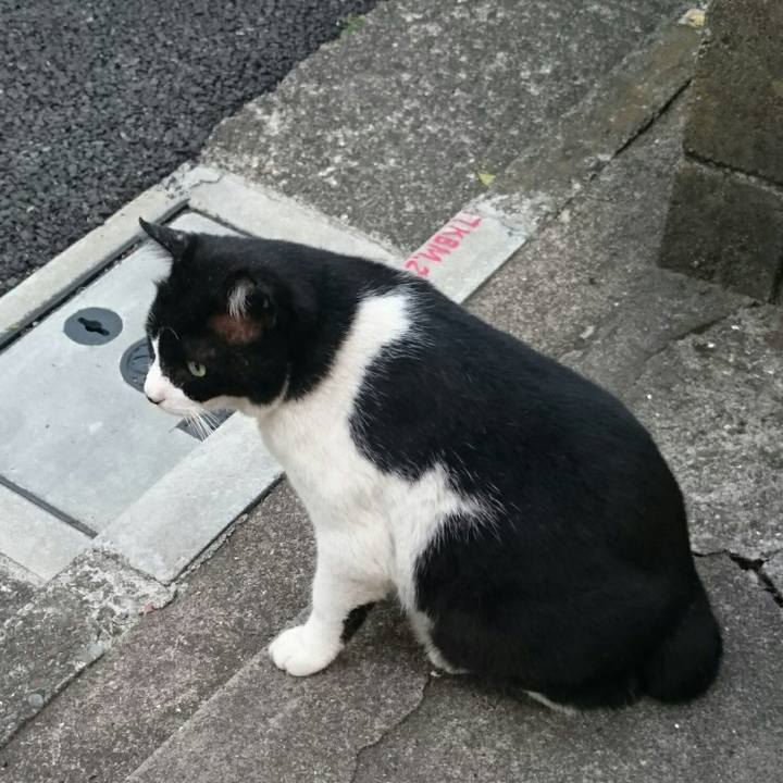 D9b93d6b 3016 4647 a899 eb1dd3846889