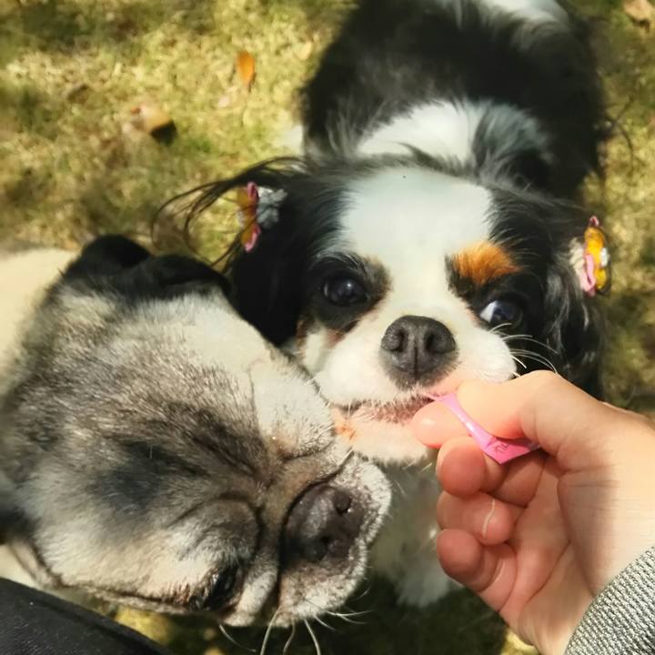 D9b956a3 5b43 47cd b475 393bb26cc7cc