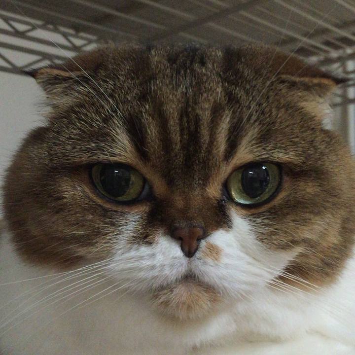 D9b96654 8107 47b5 a18f c5c11a79eeca