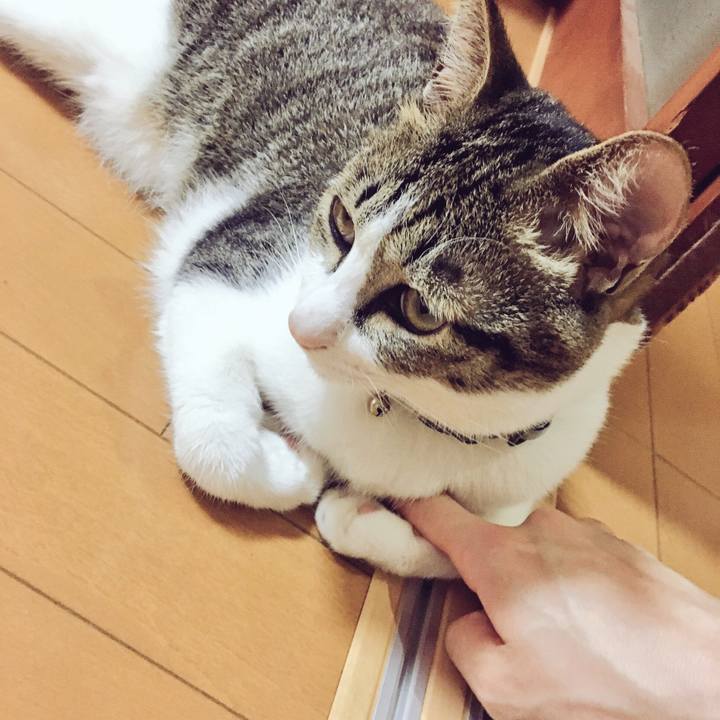 D9b9a2e9 7b88 4b17 a4f4 f31746cf530d