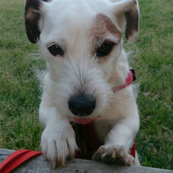 D9b9c89c 961f 4790 a8c0 57070d3356bc