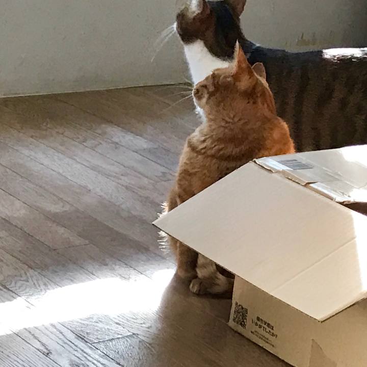 D9b9f01a 688f 40e7 ad20 09e6128dee53