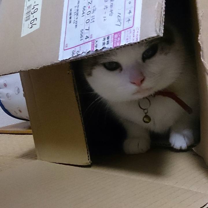 D9ba125a de6f 4851 b739 f6af4989790d