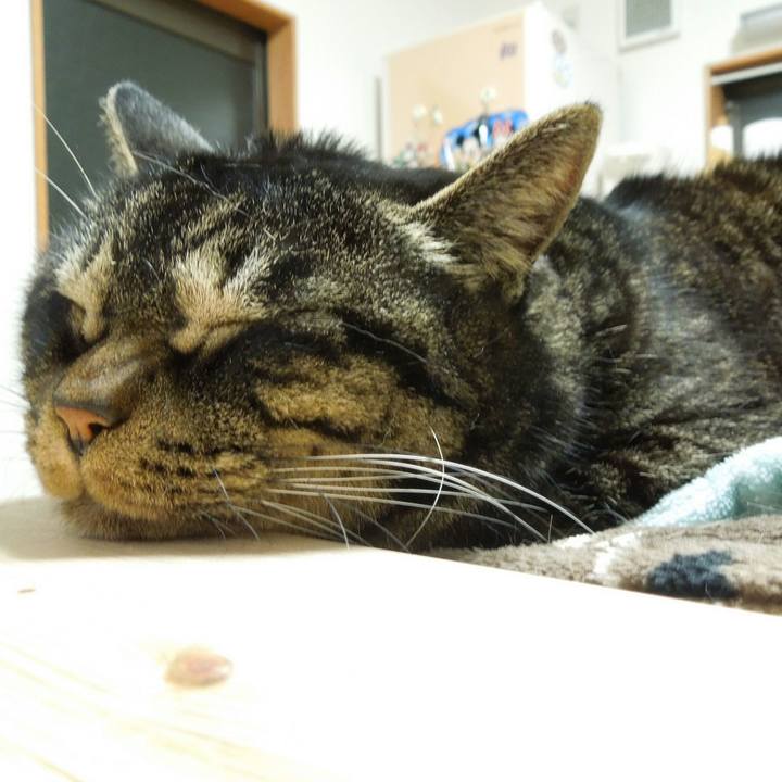 D9bab620 5944 4d69 938a b4b38cd82beb