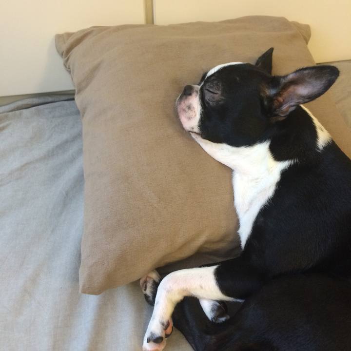 D9bb1db3 28aa 4545 8e50 feab930c9279