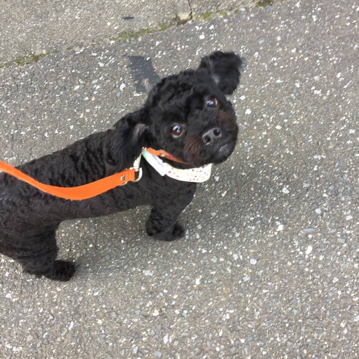 D9bb658f f498 476e 9186 ebb66c0ee671