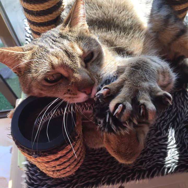 D9bbe860 efbb 4f22 ab64 d725c56e379a