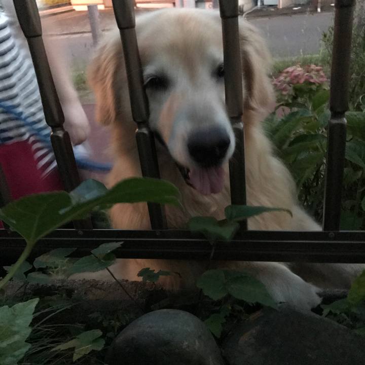 D9bbf81b 2989 4526 87e2 8b044f5f69b8