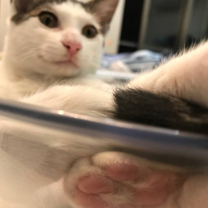 D9bc114a efda 4ec2 acbc 0a0652fd47db