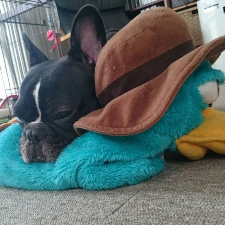 D9bc40b4 350b 4525 bb29 06a5308bc76d