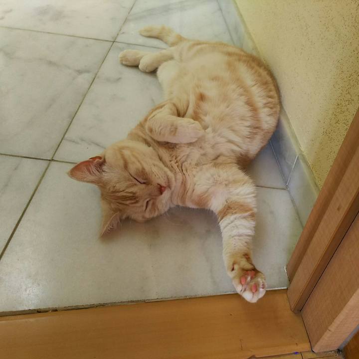 D9bd96bf edc0 4d48 b8ab 3ca0bf399133