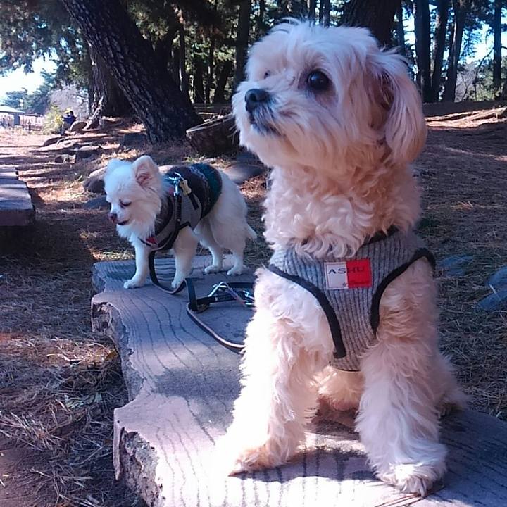 D9bd98c8 1406 4b5f 81b8 40b6569df4fd