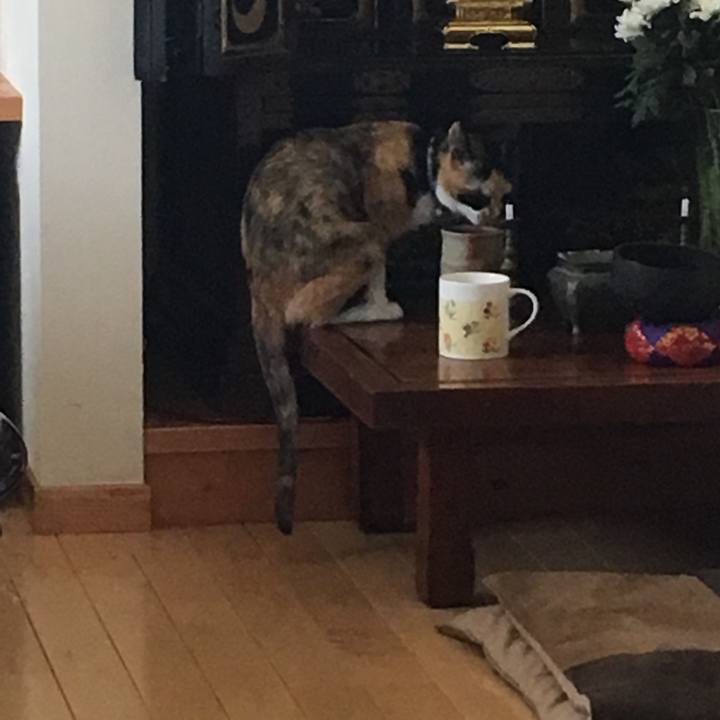 D9bda254 8827 4c74 a6ee ab4a2f88beb2