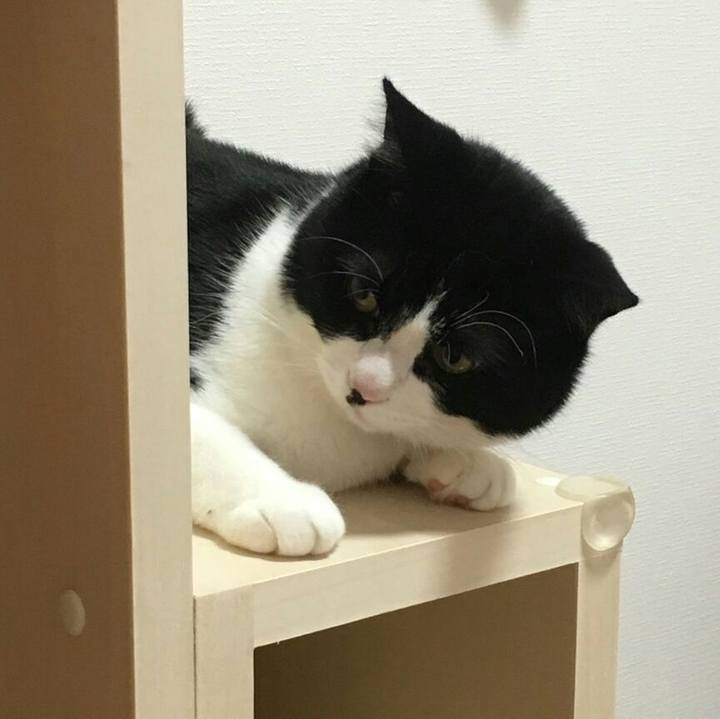 D9bda920 3623 42c3 9630 cea1a7954ef3