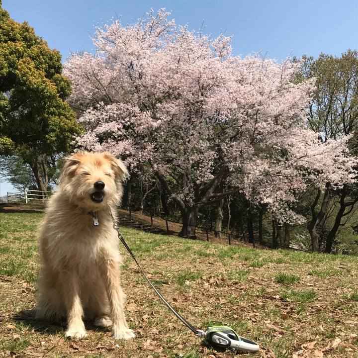 D9be2344 3627 4373 be47 52b10cbf7f60