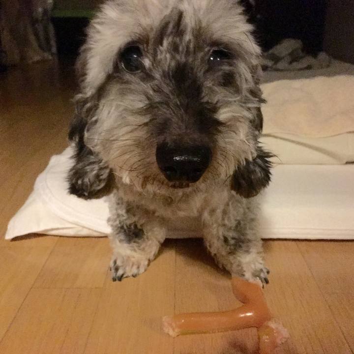 D9be8fe1 1628 45a8 8eeb ed6398aa6f9d