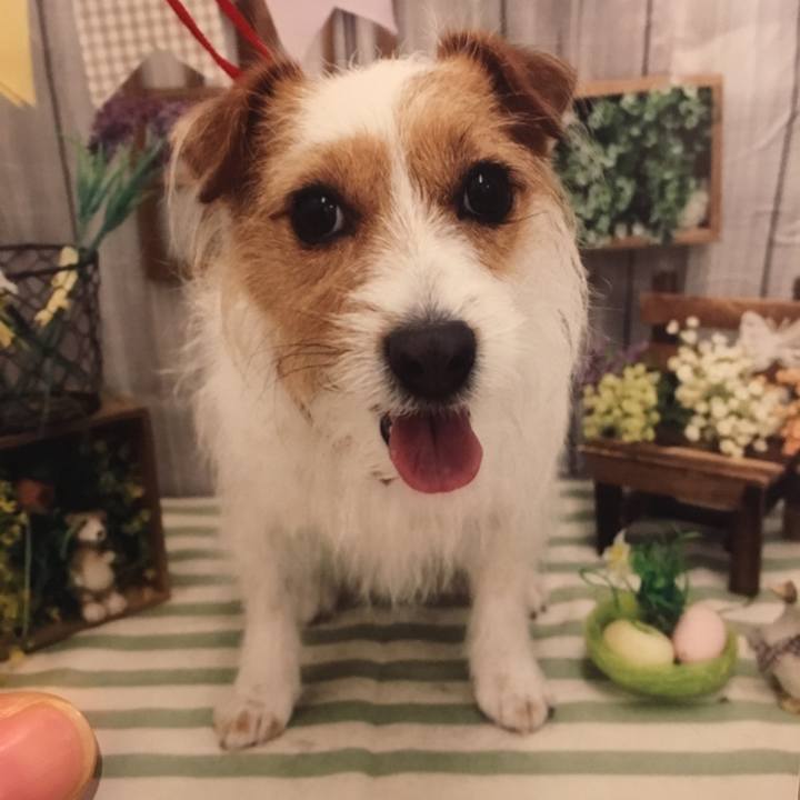 D9bed797 4381 47eb a294 b106e338fdb3