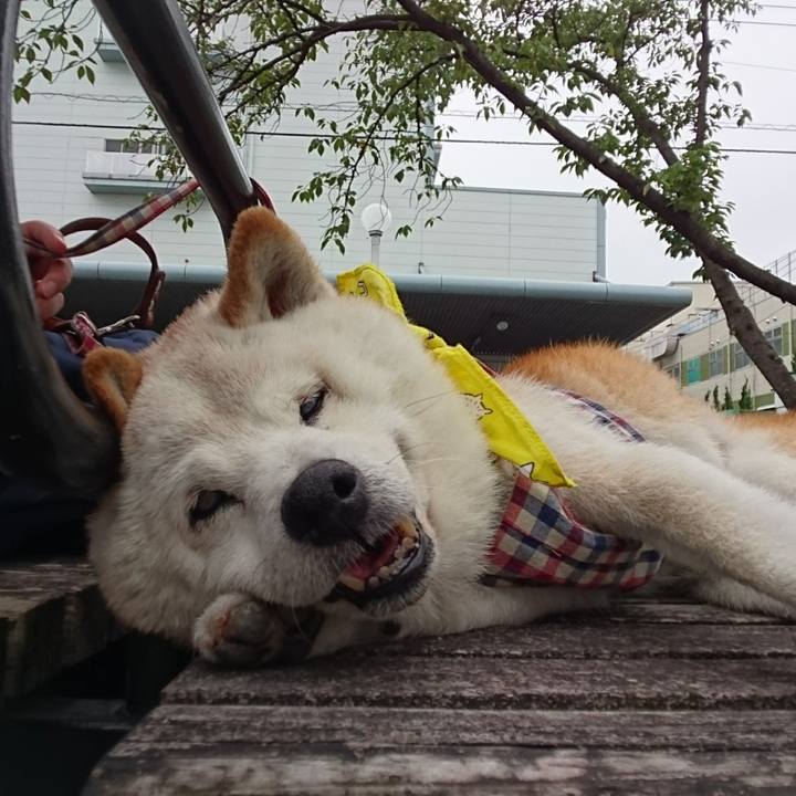 D9bf077a 3961 4fa5 bda7 690160a75cfd