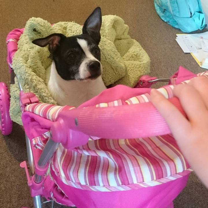 D9bf4cee a1d9 4883 bfb2 d4d6b4832bfd