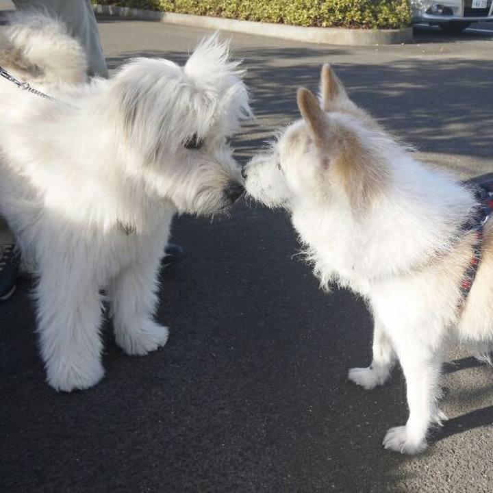 D9bf8334 3531 41c7 a82a 1e120efc0210