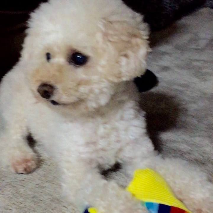 D9bf884e e76f 402b 8d28 9333a0f181d8