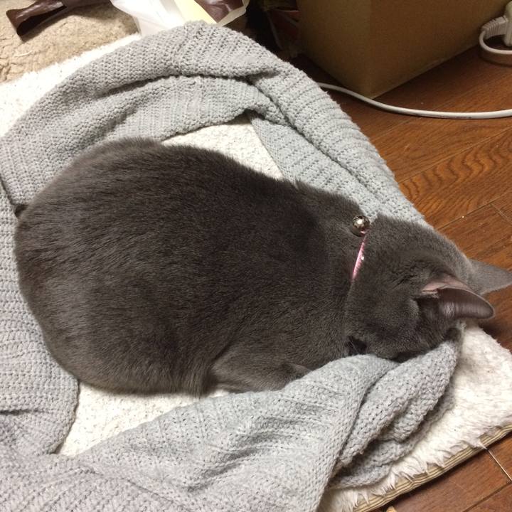 D9bf925f 5be5 499d 8a54 646b1d2440b8