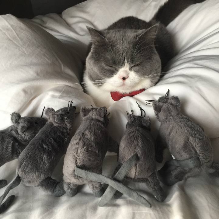 D9c068ab c371 43ca 8a60 9a0ca1fac688