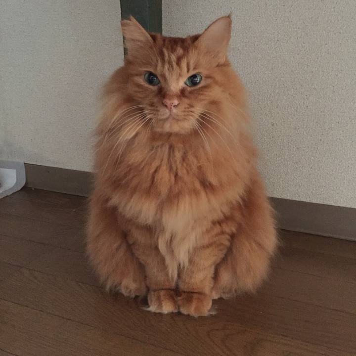 D9c0b230 f186 4310 a9e3 636763e1f995