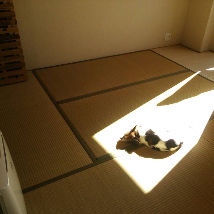 D9c0ba62 9c56 4b4c 82ff 1ec3bca3e6ab