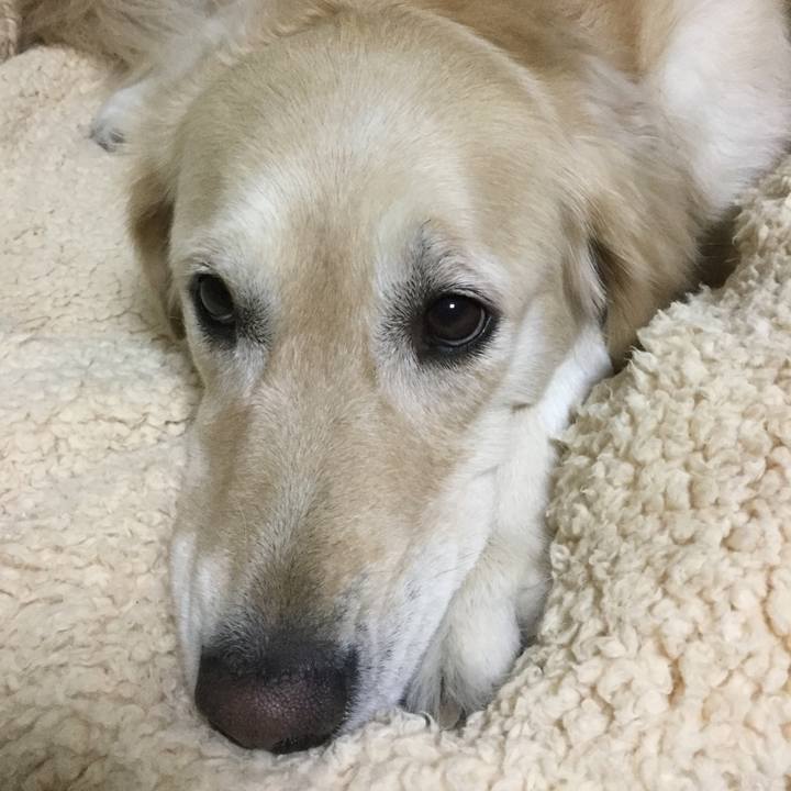 D9c1ed1b 267d 49ef b57f 19d23d41fb82