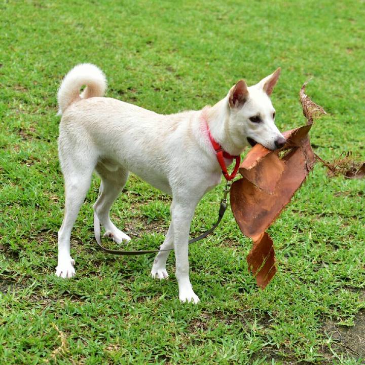 D9c22c6b 6be4 48b0 b770 a75a30a3704e