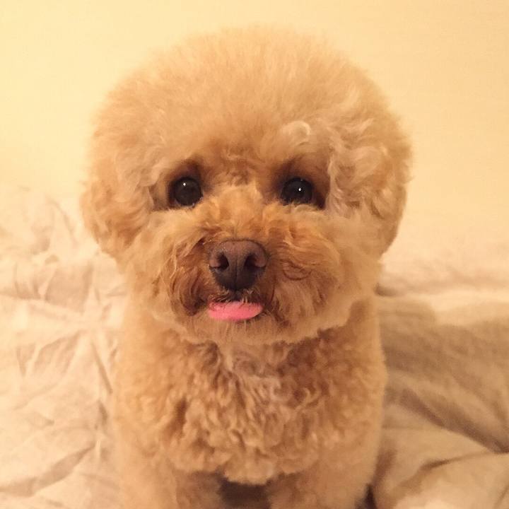 D9c23b66 29b5 4d7f b6f5 830c6ddf35da