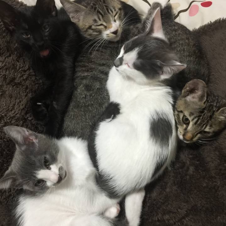 D9c257e1 5023 468e aa03 752d6b964cb8