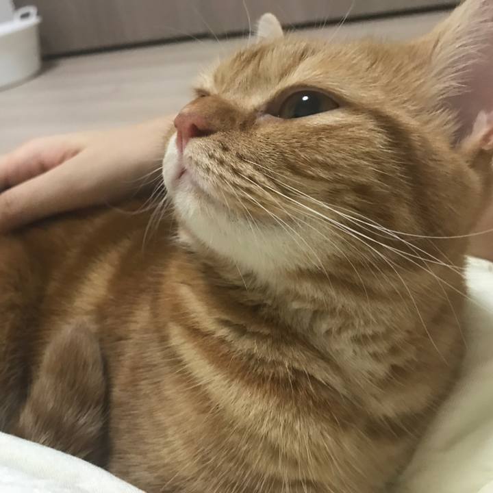 D9c27abc 6009 4be2 a164 4ecdca19d4c1