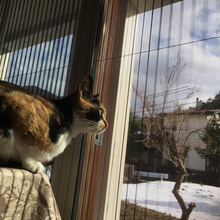 D9c2f3c0 fc07 4bad 9455 8f8defe9a08b