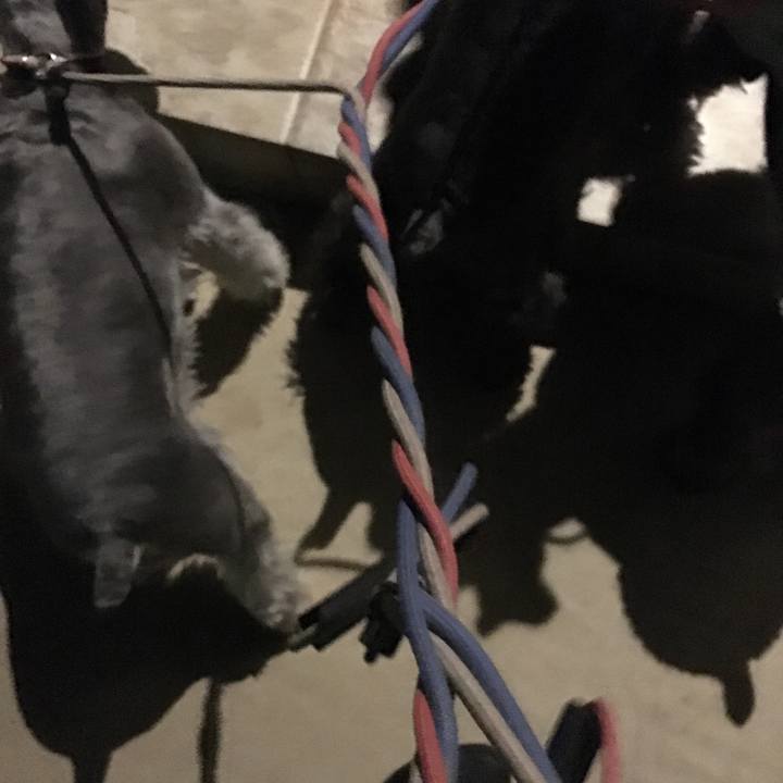 D9c3bbb8 b84b 44eb 8749 d55fd37db129