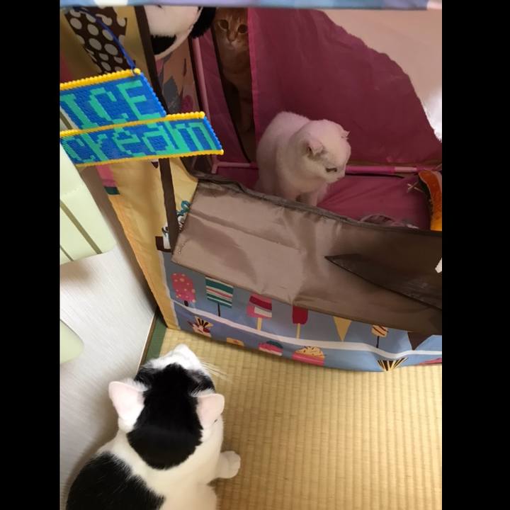 D9c44017 85ac 4930 9888 4706c69e40f6