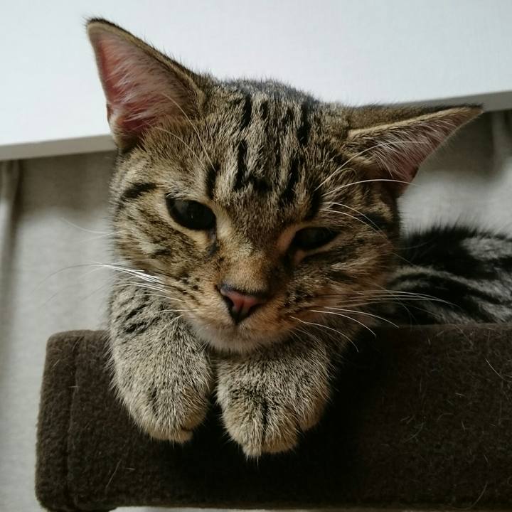 D9c44ca8 e050 446e bdb5 92c6e49eeb98