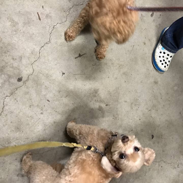 D9c49dda bfff 4704 bca2 42ebe9c86362