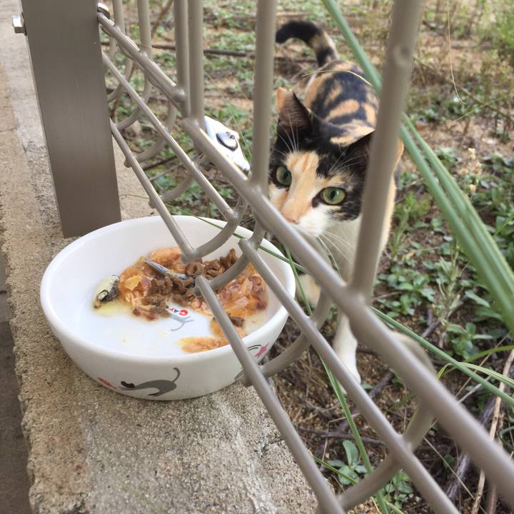 D9c54359 4a1b 42a8 b5f1 c13932e1772c