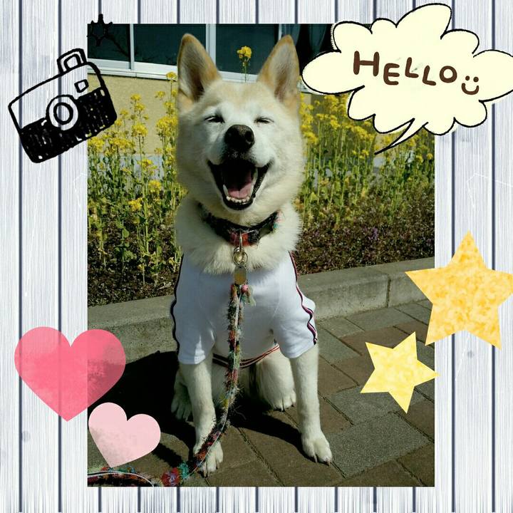 D9c54d0c 9b5a 4025 ac59 53037dd9aedb