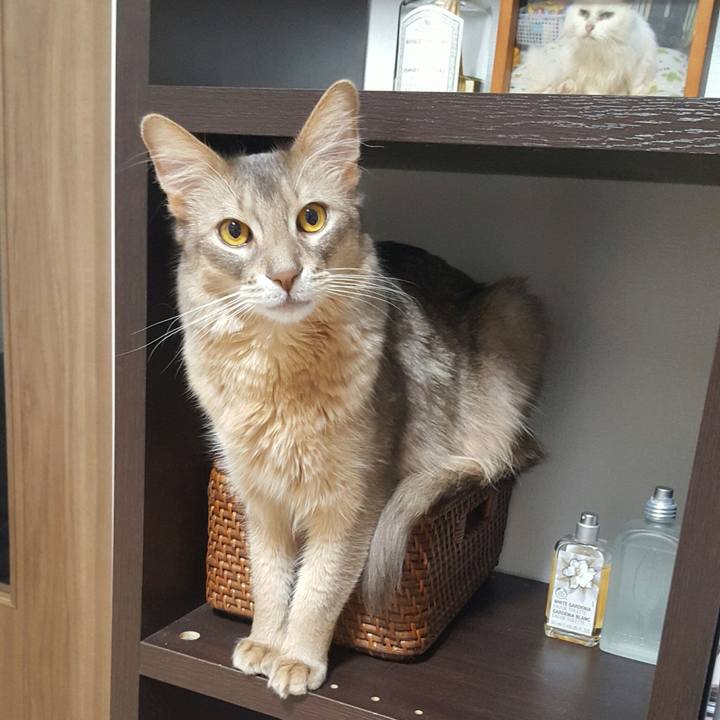 D9c5b541 815e 4a44 8c68 773e25177512