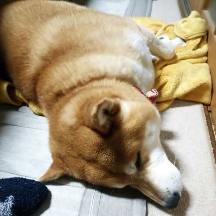 D9c5bb4c 1d1a 47a3 8764 82cc4b49897a