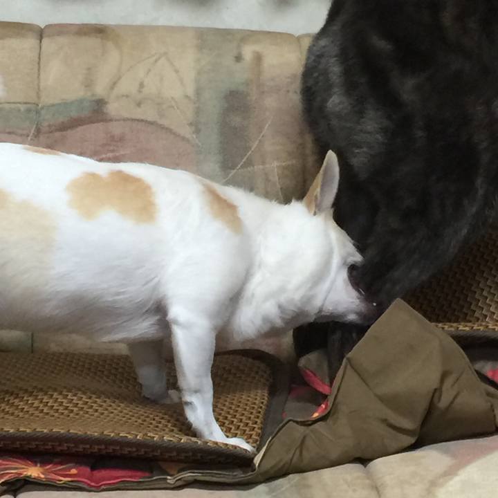 D9c64eff 98c0 42f4 bde3 933eb23afe08