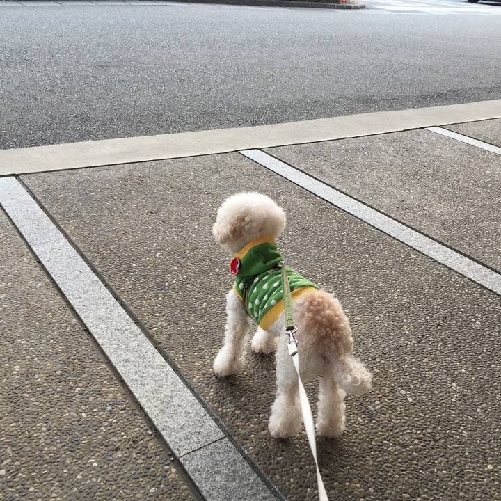 D9c67f9b ca28 4e54 a85c 1a5c472eac02