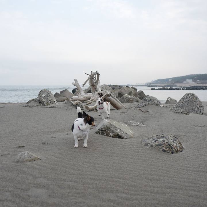 D9c6ca17 ae31 47d6 968c e4f19c0ef26a