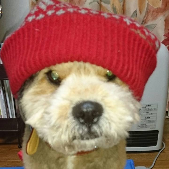 D9c6cf86 d371 4fda a0a9 5f0a88925459